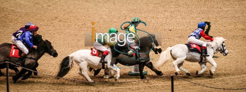 PonyGrandNational _Olympia2016_SS7_0827.JPG